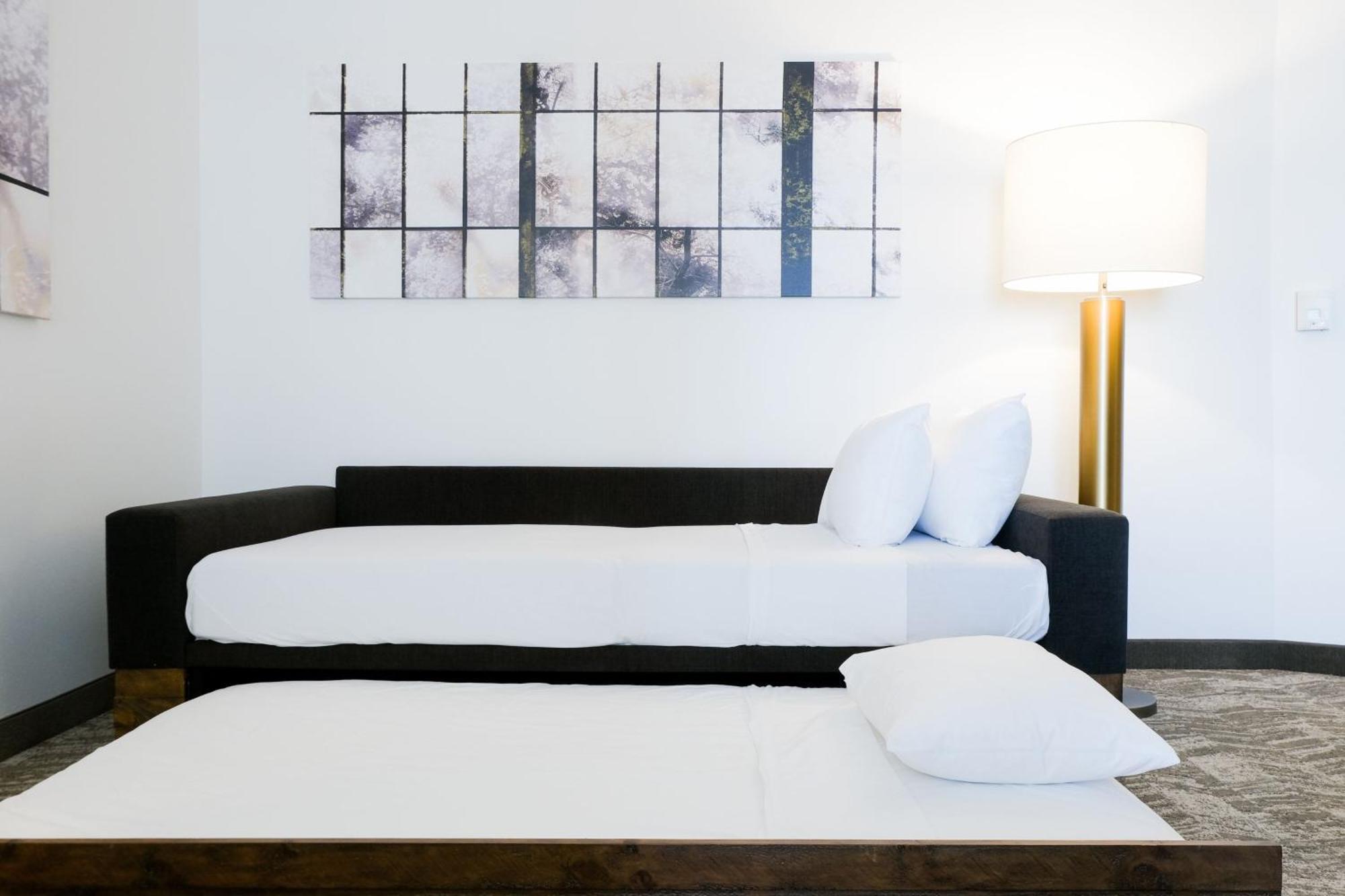 Springhill Suites By Marriott Dallas Richardson/Plano Εξωτερικό φωτογραφία